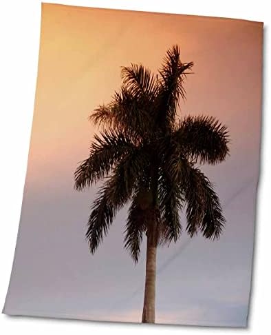 עצי פלורן 3 דרוזים - שקיעה פלורידה דקל - מגבות