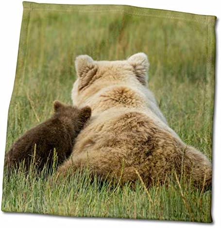 3drose Grizzly Cub נוטה נגד אמה. אגם קלארק NP, אלסקה. - מגבות