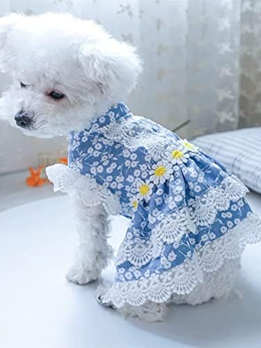 Qwinee Ditsy פרחוני שמלת חיות מחמד חתול כלב כלב תחרה פרטי שמלת נסיכה תחפושת למסיבת חיות מחמד חמודה תחפושת ליום הולדת לכלב בינוני קטן כלבים