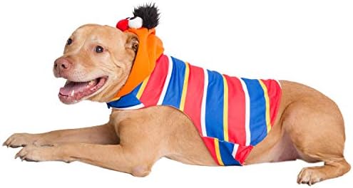 תחפושת ארני בינונית של Pet Krewe - רחוב סומסום ארני תלבושת כלב - מתאימה לחיות מחמד קטנות, בינוניות, גדולות וגדולות במיוחד - מושלמת ליל