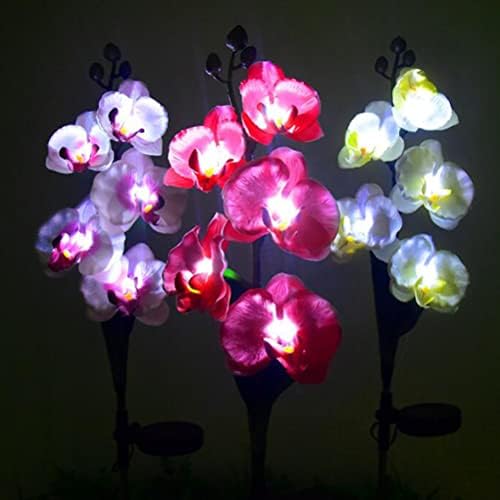 אורות גן סולארי חיצוניים חיצוניים, IP65 אורות סולאריים אטומי מים אורות פרחים פרחים סחלבים אורות לפטיו פטיו בחצר האחורית מפלגת נוף דקורטיבית