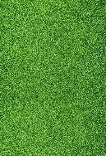 רקע ירוק ירוק 8 * 10 רגל צילום רקע ירוק דשא דשא מלאכותי בית ספר כדורגל מגרש משחקים מתקני ספורט לחיות מחמד ולוגר וידאו רקע ילדים מפלגה